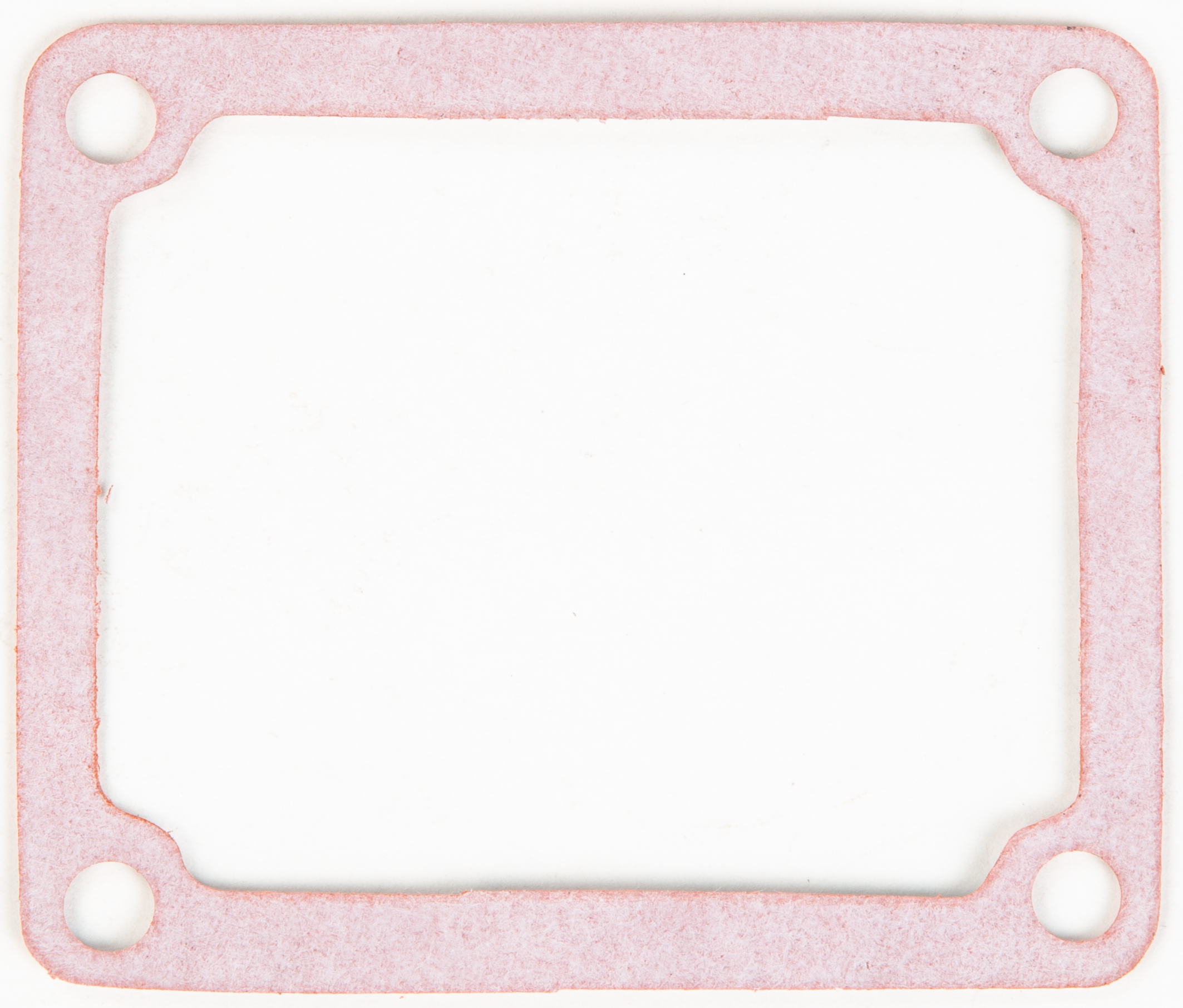 Rad Valve Gasket