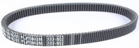 SP1 Max-Torque Platinum Belt
