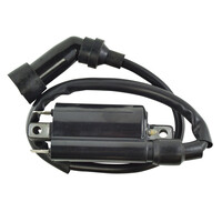 RM STATOR Spark Plug Caps