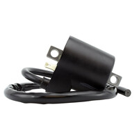 RM STATOR External Ignition Coil