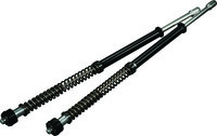 HARDDRIVE Scepter 25 Fork Cartridge