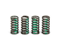 PRO CIRCUIT Clutch Spring Set