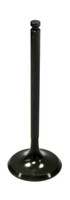 BRONCO Intake Valve