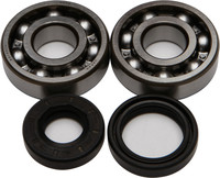 ALL BALLS Crankshaft Bearing & Seal Kit