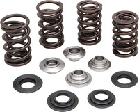 KPMI Valve Spring Kit