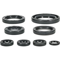 VERTEX Oil Seal Set