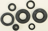 VERTEX Oil Seal Kit