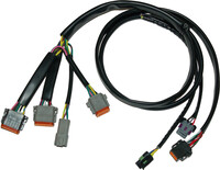 NAMZ Ignition/EFI Wiring Harnesses