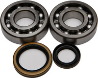 All Balls Crank Bearing and Seal Kit For 1989-2008 Suzuki RM125 24-1016