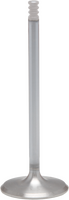 KPMI White Diamond Intake Valve