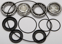 ALL BALLS Differential Bearing & Seal Kit