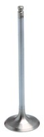 KPMI Intake Valve