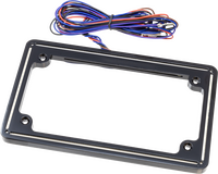 LETRIC LIGHTING CO Perfect Plate Light