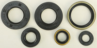 VERTEX Oil Seal Kit