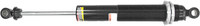 SP1 Ski Shock