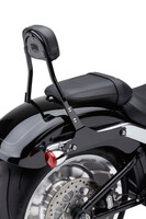 COBRA Detachable Mini Backrest
