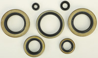 VERTEX Oil Seal Kit