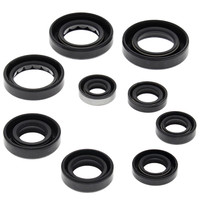 VERTEX Oil Seal Set