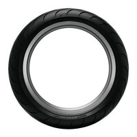 DUNLOP Roadsmart IV Tire