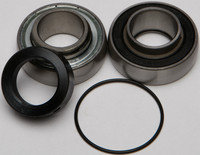Chain Case Bearing and Seal Kit