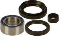 ALL BALLS All Balls Wheel Bearing Kits