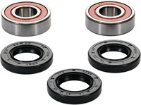 PIVOT WORKS Premium Wheel Bearing Kit