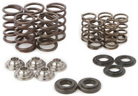 Hot Cams Valve Spring Kit