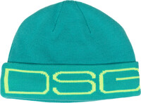 DSG Logo Beanie