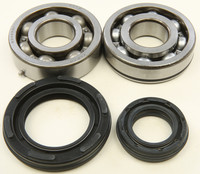 ALL BALLS Crankshaft Bearing & Seal Kit