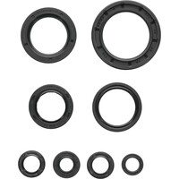 VERTEX Oil Seal Set