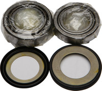 ALL BALLS Steering Head Bearing