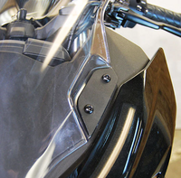 NEW RAGE CYCLES Mirror Block Off Plates