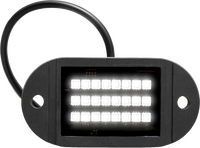 ECOXGEAR Sound Extreme Rock Lights