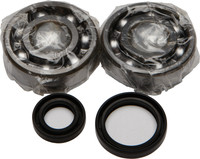 ALL BALLS Crankshaft Bearing & Seal Kit