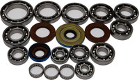 ALL BALLS Differential Bearing & Seal Kit