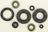 VERTEX Oil Seal Kit