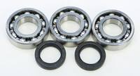 ALL BALLS Crankshaft Bearing & Seal Kit