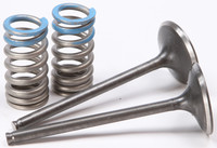 PROX Valve and Spring Kit