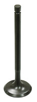 BRONCO Exhaust Valve