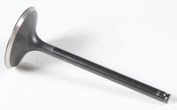 KPMI Intake Valve
