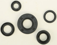VERTEX Oil Seal Kit