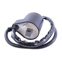 RM STATOR External Ignition Coil