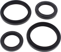 ALL BALLS Differential Seal Kit