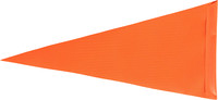 SAFETY Pennant Flag