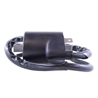 RM STATOR External Ignition Coil