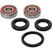 PIVOT WORKS Premium Wheel Bearing Kit