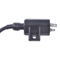 RM STATOR External Ignition Coils