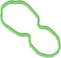 HARDDRIVE Fuel Pump Door Gasket