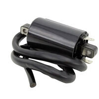 RM STATOR External Ignition Coils