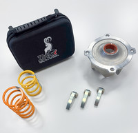 IBEXX Stage 2 Clutch Kit